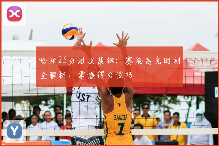 哈珀25分进攻集锦:赛场高光时刻全解析,掌握得分技巧