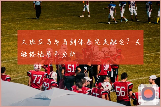 文班亚马与马刺体系完美融合？关键搭档角色分析