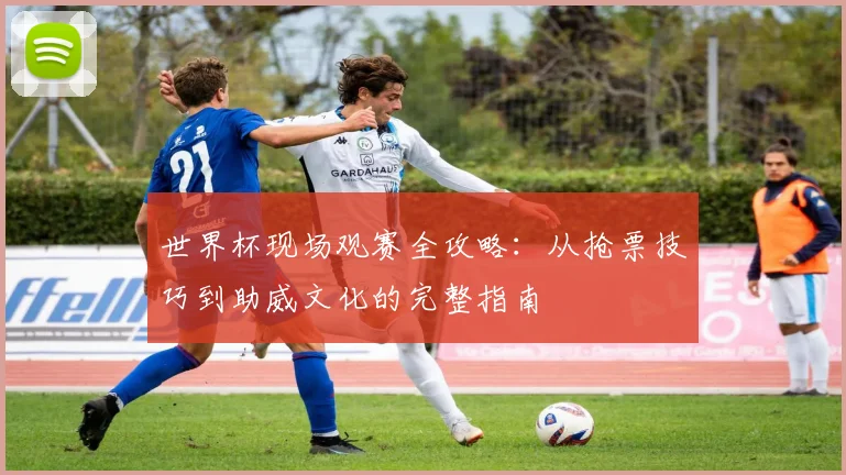 世界杯现场观赛全攻略：从抢票技巧到助威文化的完整指南